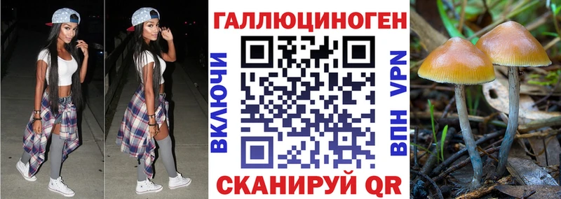 Галлюциногенные грибы мицелий  Кыштым 